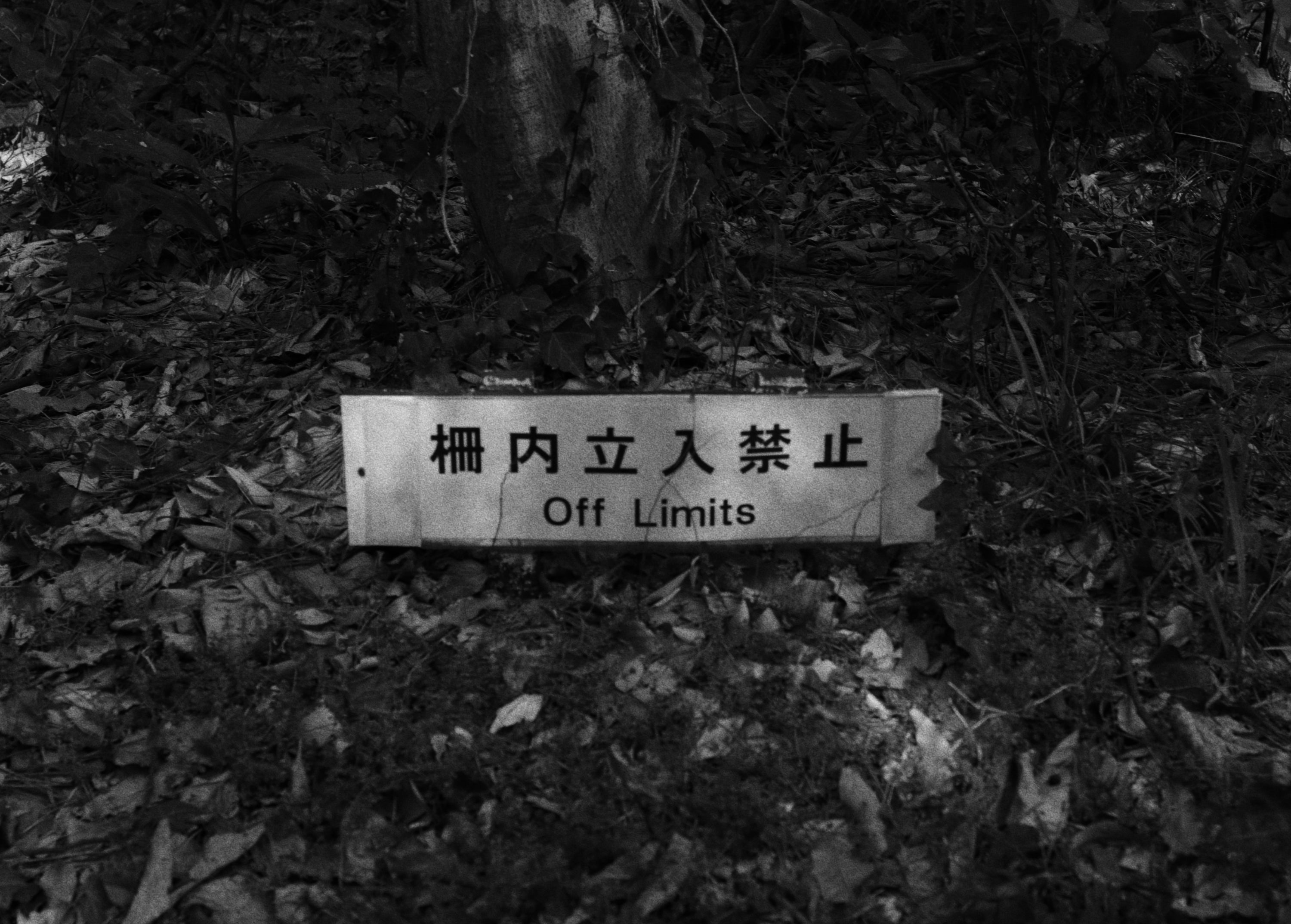 Off Limits
